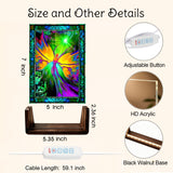 Product information graphic showing a colorful stained-glass-style fairy artwork panel with dimensions, plus callout circles for an adjustable button, HD acrylic edge, copper-colored light tube, and black walnut base. Text reads 'Size and Other Details' and includes measurements and cable length.