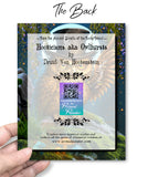 The back of a greeting card for 'Hooticisms aka Owlbursts' by Druid Von Hootenstein with an owl illustration on a nature-themed background.